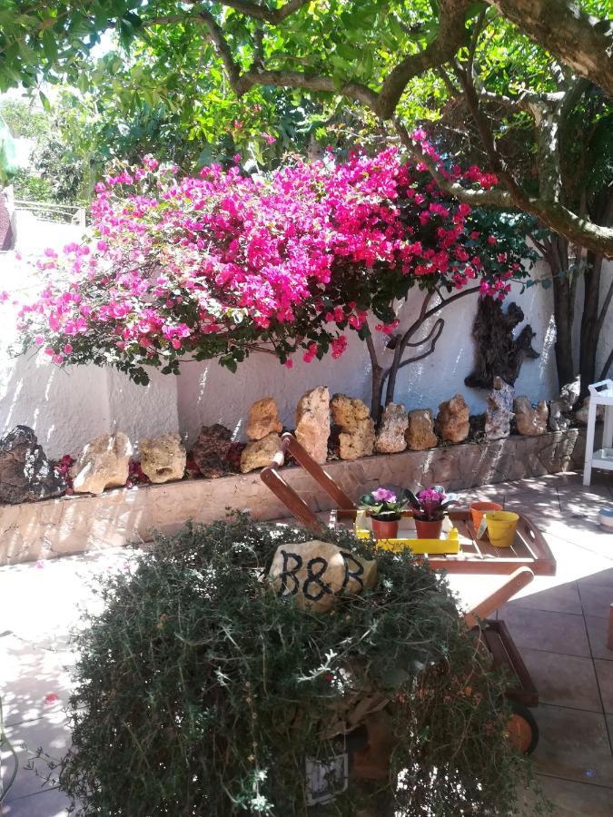 B&B Lety Alghero Dış mekan fotoğraf