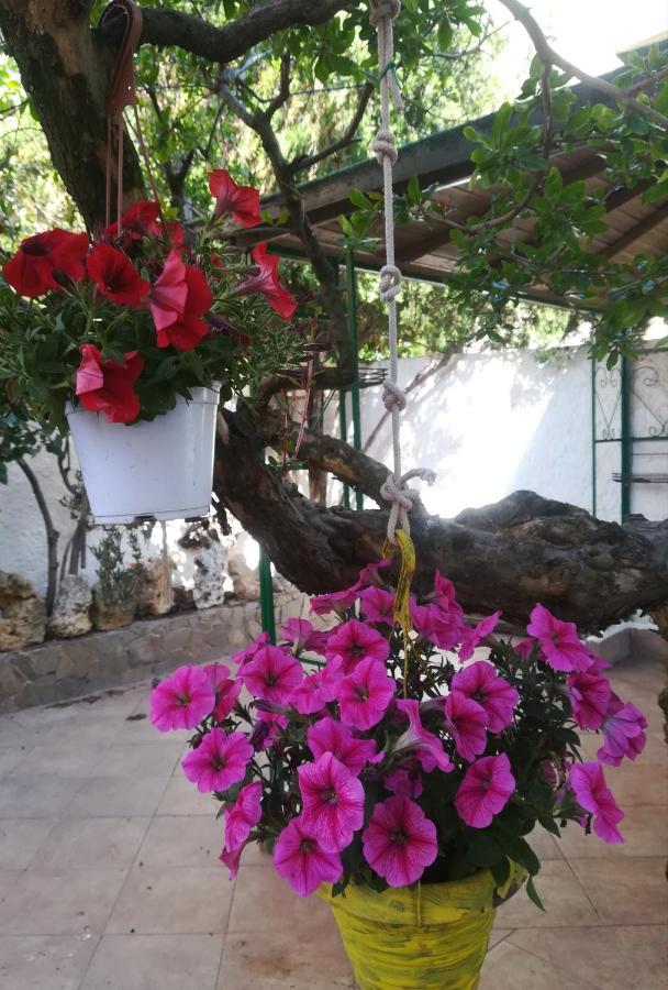 B&B Lety Alghero Dış mekan fotoğraf